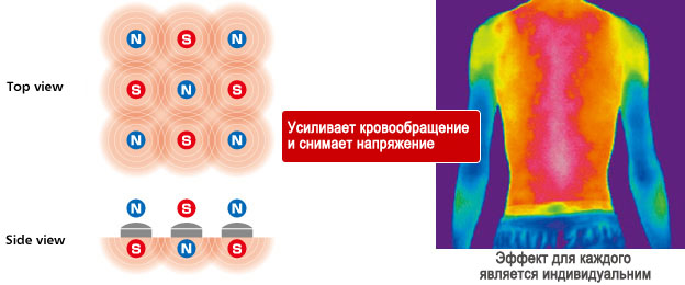 Colantotte брастет