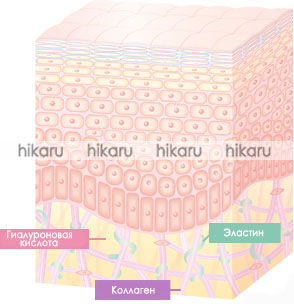 Гиалуроновая кислота, производство Япония, из Японии, молодость кожи.